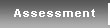 Assesment